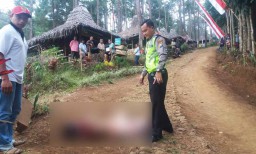 Lepas Kendali, Kuda Wisata di Blitar Seret Penunggang Hingga Tewas