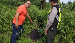 Sempat Hilang, Kakek di Blitar Tewas di Semak-semak