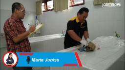 Photo Talk: Penemuan Tengkorak Manusia di Banyuwangi