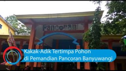 Video: Kakak-Adik Tertimpa Pohon di Pemandian Pancoran Banyuwangi