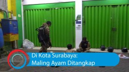 Video: Di Kota Surabaya: Maling Ayam Ditangkap