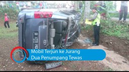 Video: Mobil Terjun ke Jurang, Dua Penumpang Tewas