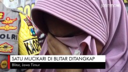 Video: Satu Mucikari di Blitar Ditangkap