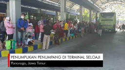 Video: Penumpukan Penumpang di Terminal Seloaji
