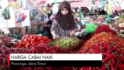 Video: Harga Cabai di Ponorogo Naik