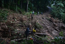 Ratusan Warga Dilaporkan Hilang dalam Banjir Bandang di Flores Timur