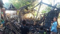 Kebakaran, Terjebak di Kandang, Dua Ekor Sapi Terpanggang