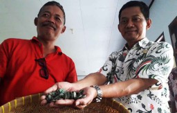 Penambang Pasir Temukan Ratusan Uang Kuno di Aliran Sungai Brantas