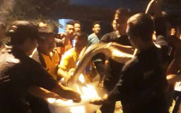 Warga Putat Gede Surabaya Digegerkan Penemuan Ular Piton 3,5 Meter