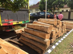 Pengiriman 206 Balok Kayu Jati Ilegal ke Bali Digagalkan