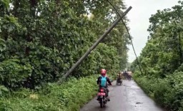 Angin Kencang Robohkan 18 Tiang Listrik dan Tutup Akses Jalan ke Alas Purwo