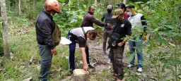 Polisi Selidiki Kepemilikan Belasan Kayu Jati Ilegal di Banyuwangi