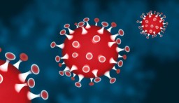 Ini Penjelasan Pakar Virologi Mengenai Virus Corona Varian Lambda